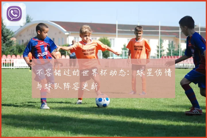 不容错过的世界杯动态：球星伤情与球队阵容更新