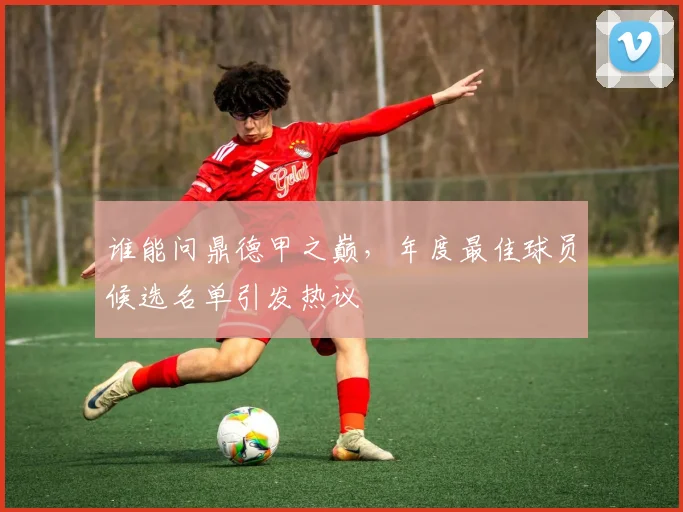 谁能问鼎德甲之巅，年度最佳球员候选名单引发热议