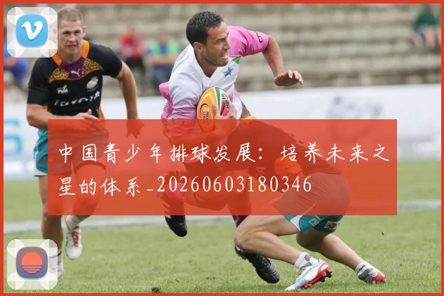 中国青少年排球发展：培养未来之星的体系_20260603180346